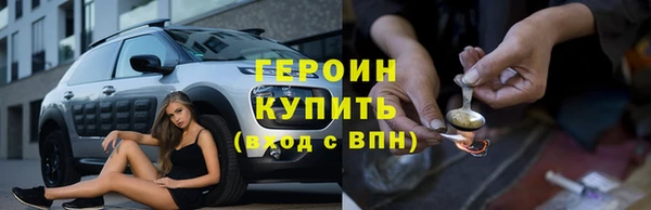 молекула духа Богданович