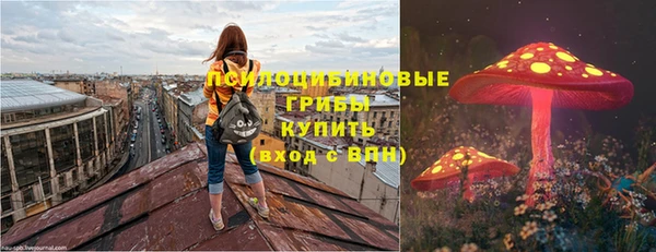 jwh Белокуриха