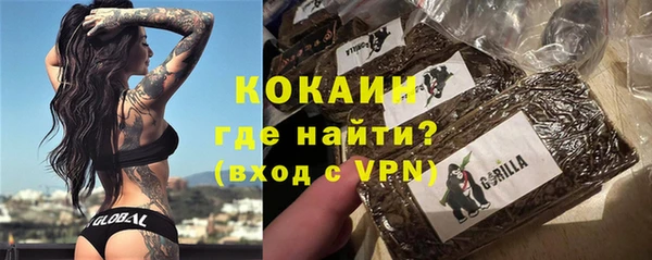 молекула духа Богданович