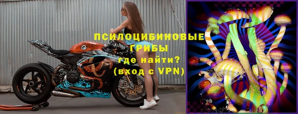 спайс Богородицк
