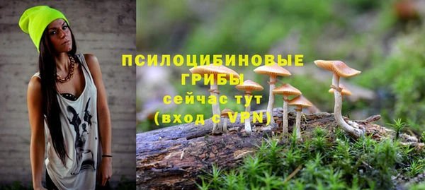 молекула духа Богданович