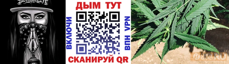 купить наркотики сайты  Буй  Шишки марихуана индика 